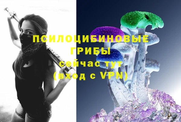 apvp Навашино