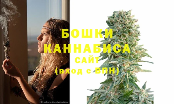 apvp Навашино
